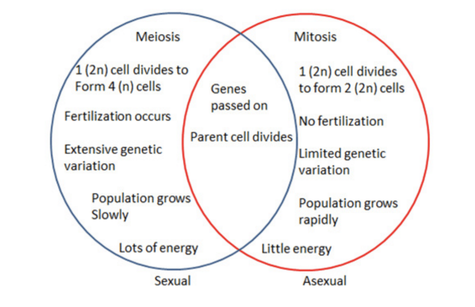 Similar diagram. Asexual reproduction diagram. Difference between sexual and asexual reproduction. Comparing asexual reproduction and sexual reproduction. Difference Chart Mitosis and Meiosis.